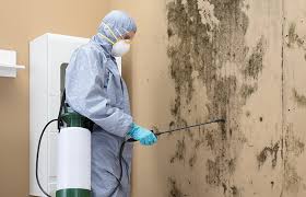 Best Forensic Mold Investigation  in Commerce, OK